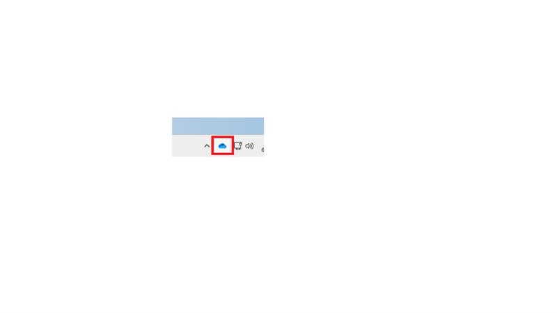 User's image