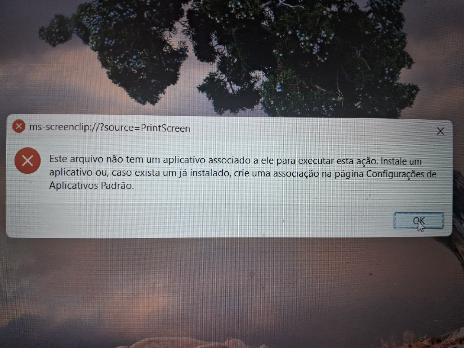 Imagem do usuário