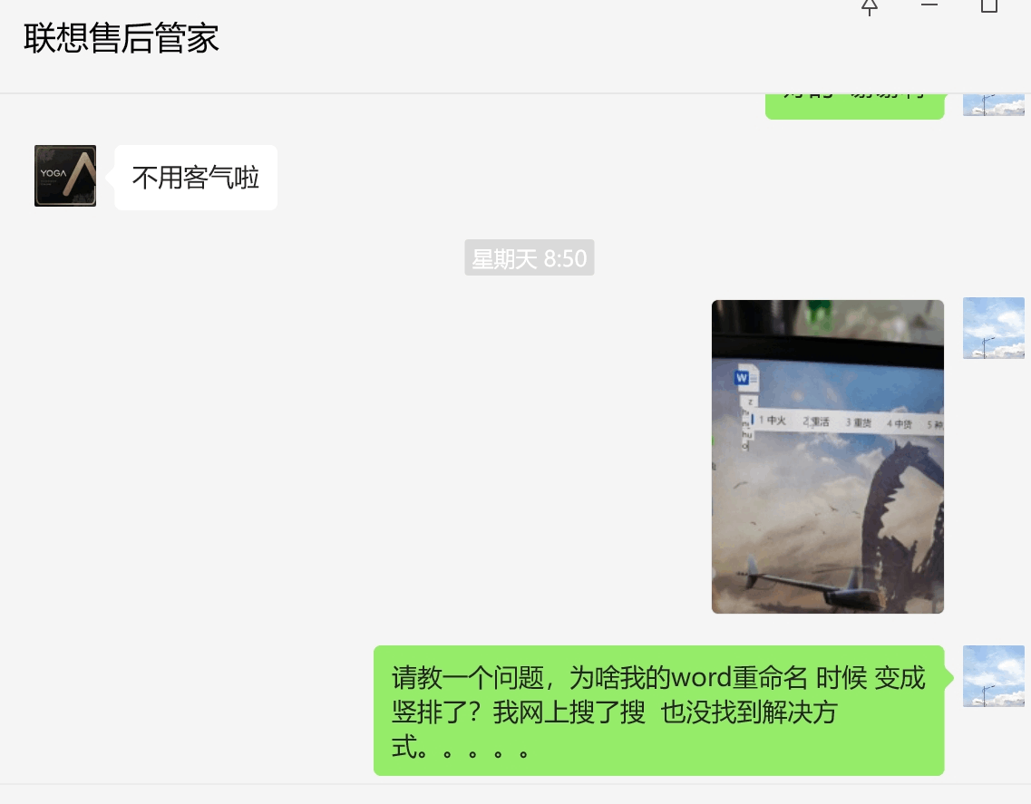 word重命名的时候变成了竖排，并且还有吞字现象，怎么办？ - Microsoft Q&A