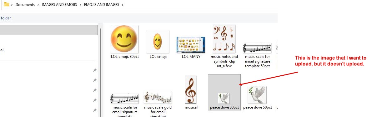 unable to upload image annotated