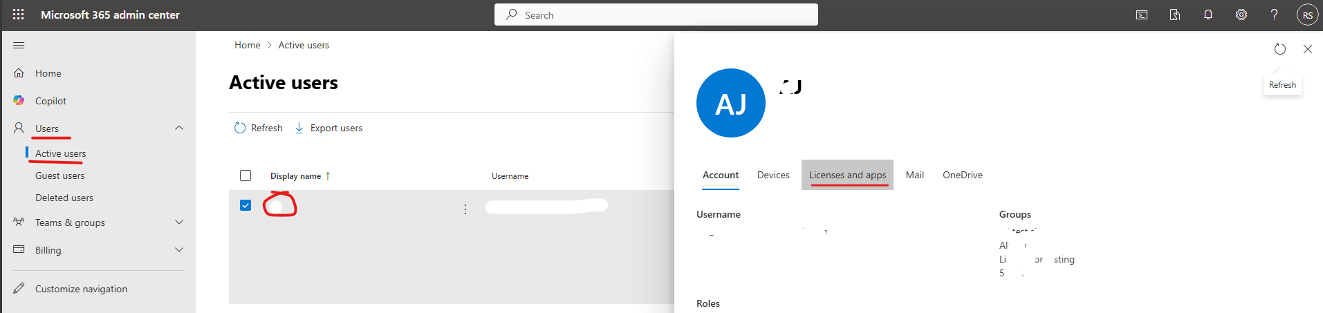 I have set up a new user in my Microsoft 365 but I cannot give the ...