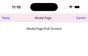 ModalPage - Full Screen