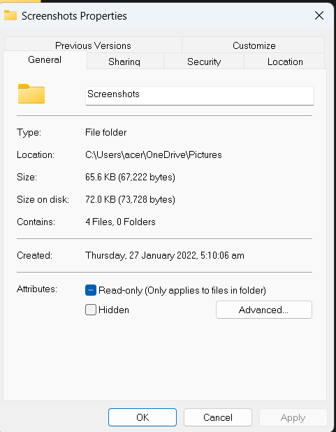 Something about Screenshot page in file explorer - Microsoft Q&A