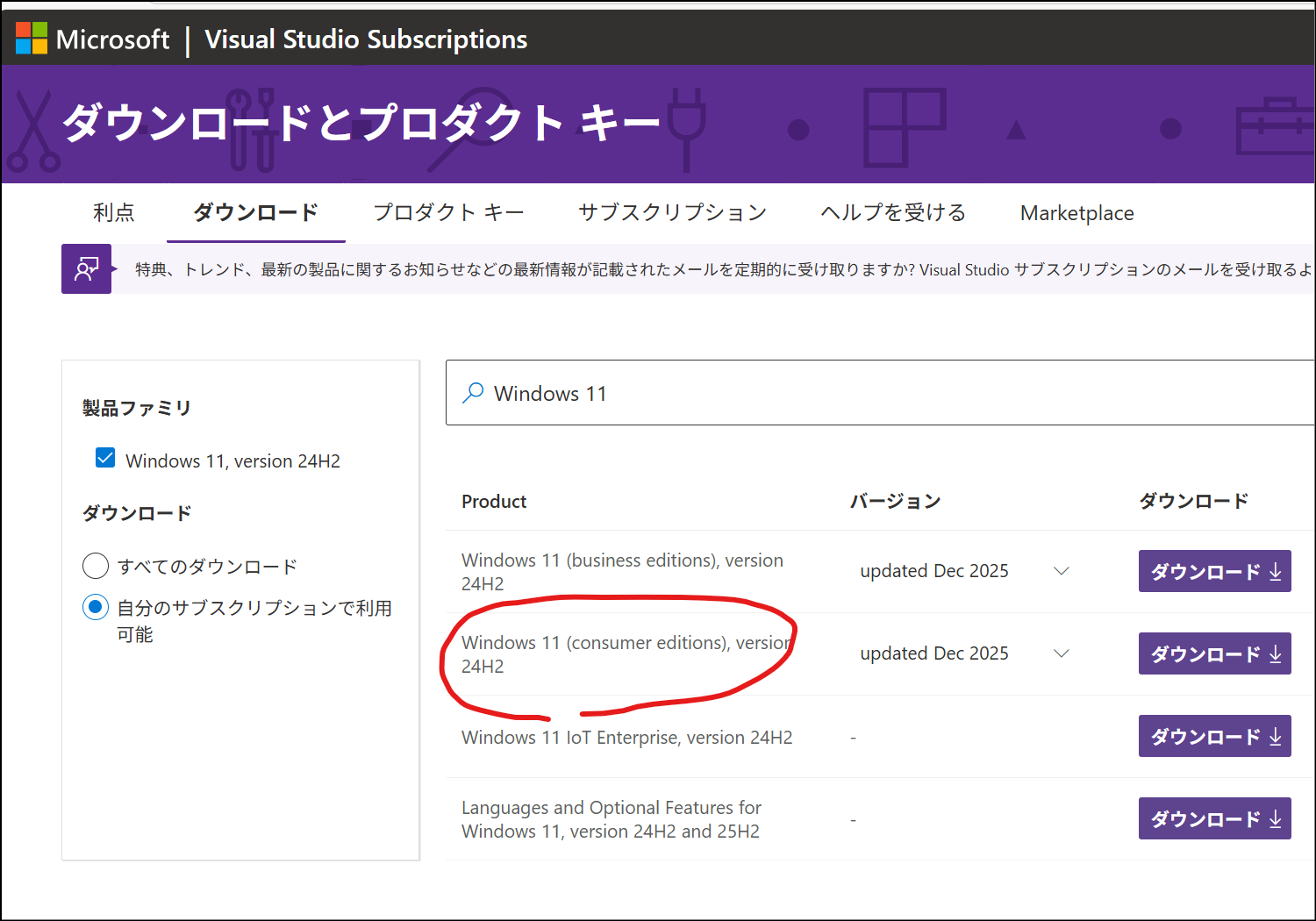 MSDSでダウンロードしたWindows 11(コンシューマーエディション