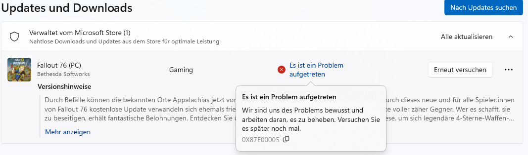 Fehler Microsoft Store