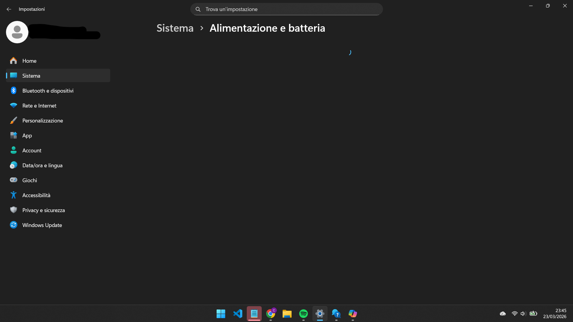 Immagine dell'utente