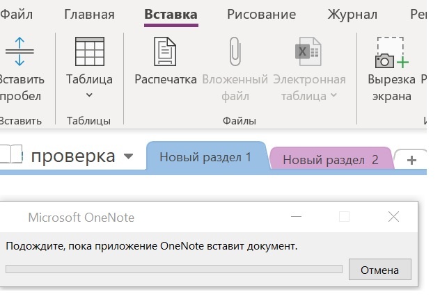OneNote 365 menu items Insert - File attachment and Spreadsheet greyed ...