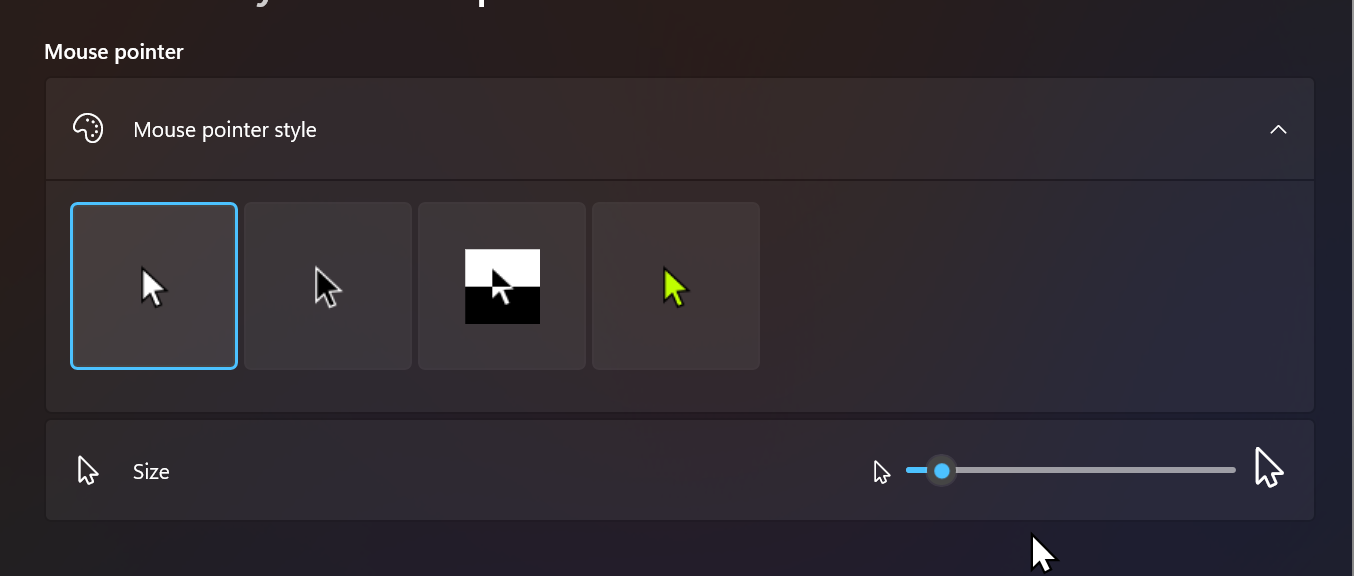 User's image