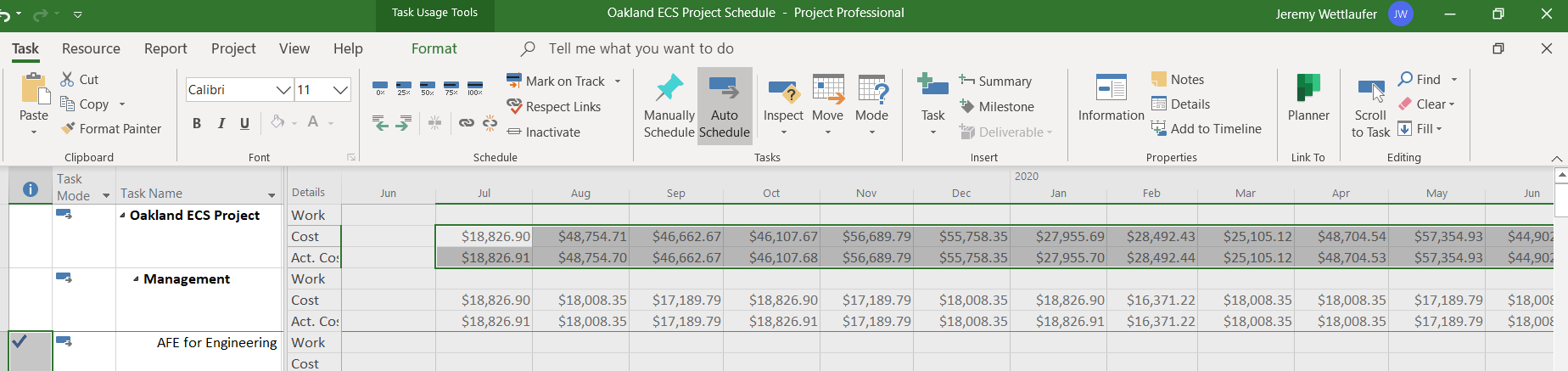 Copying Information from Task Usage View in MS Project - Microsoft Q&A