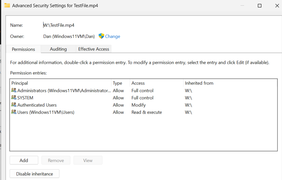 TestFile Security Details