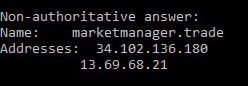 dns lookup for marketmanager.trade