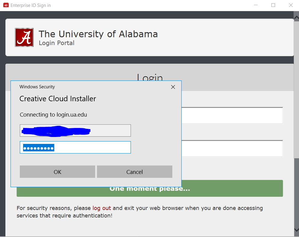Windows Security Username and Password not working - Microsoft Q&A