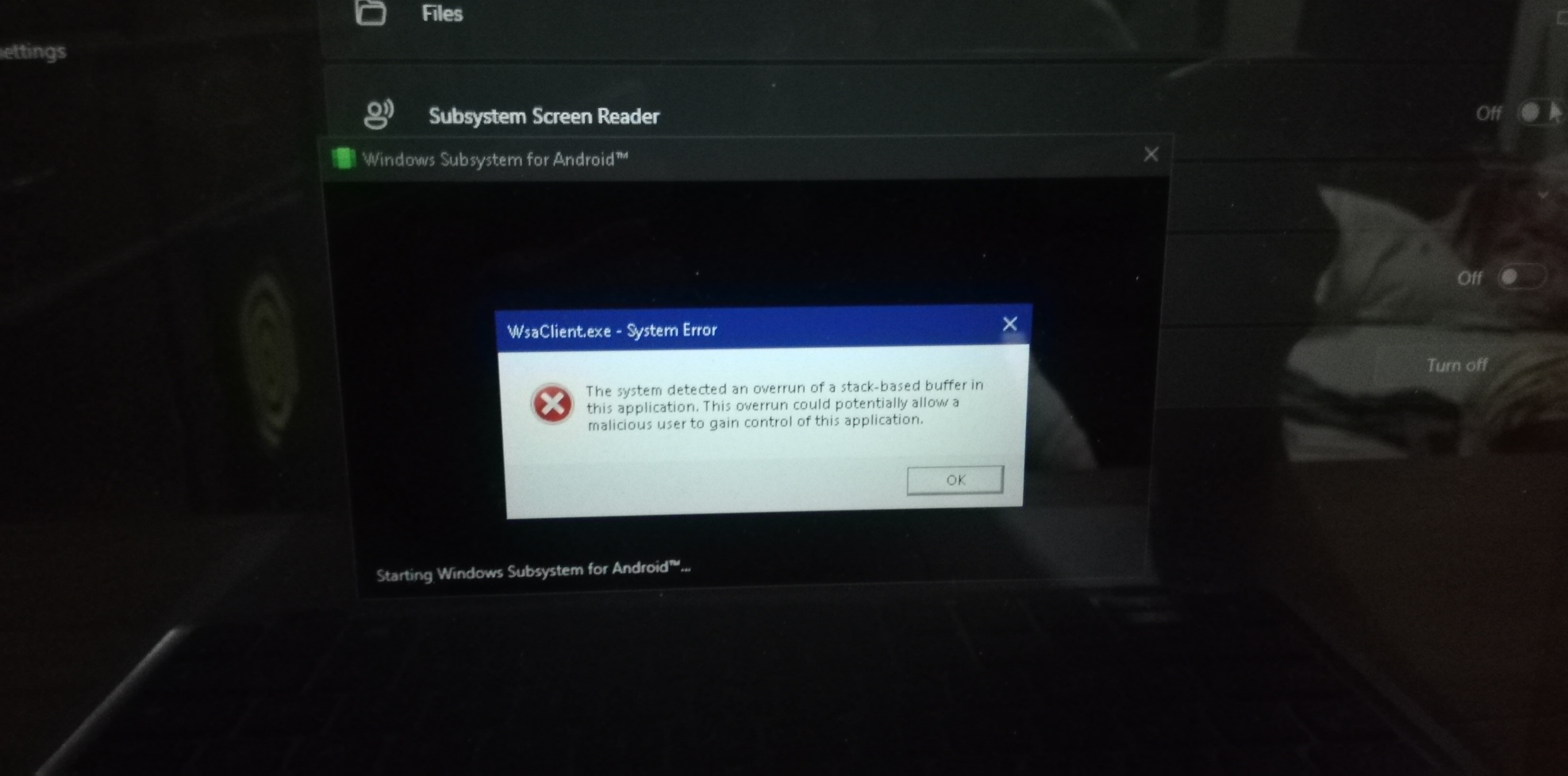 Wsaclient.exe-system error problem - Microsoft Q&A