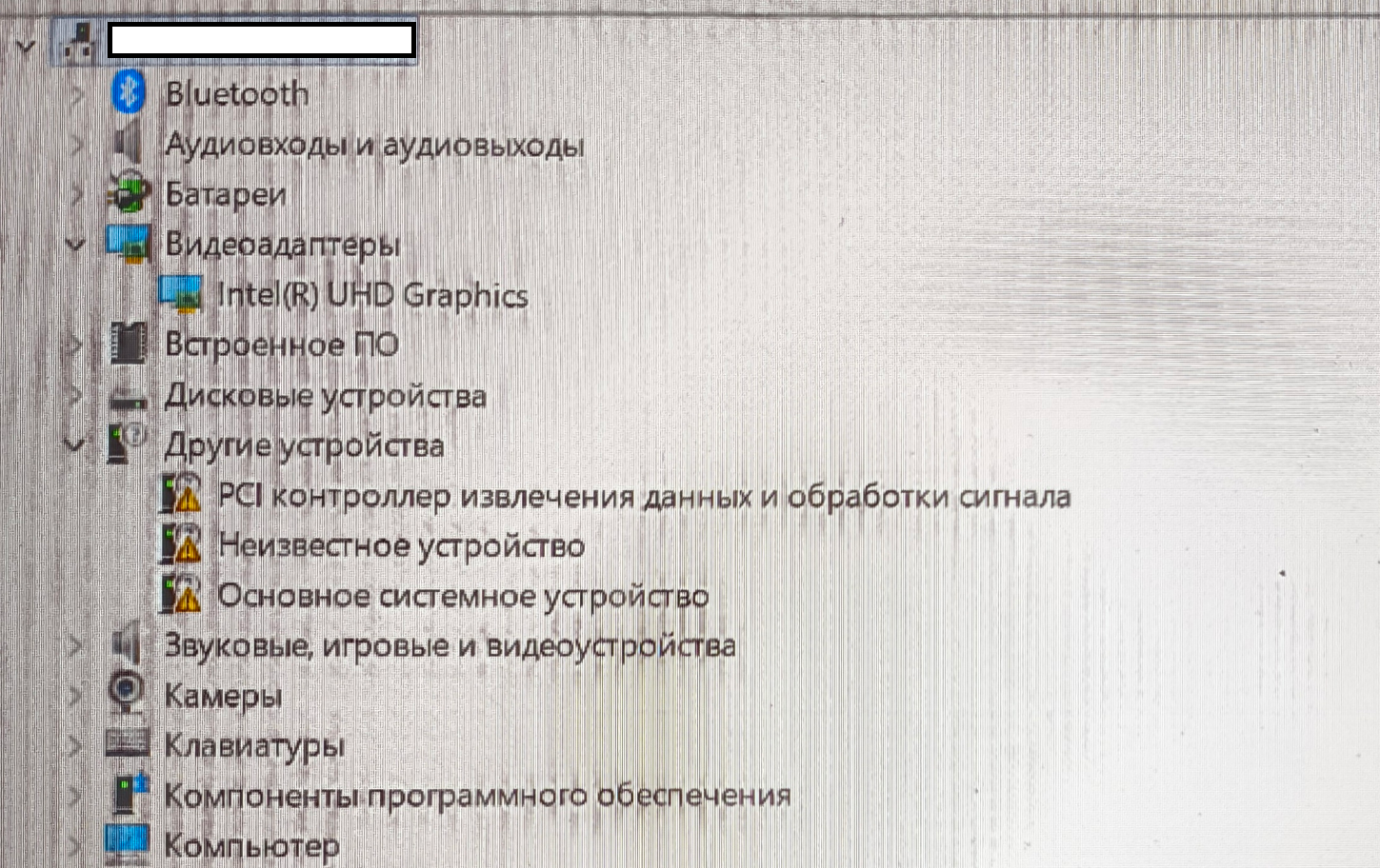 User's image