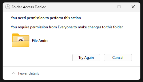 Access Denied on External Hardisk - Microsoft Q&A