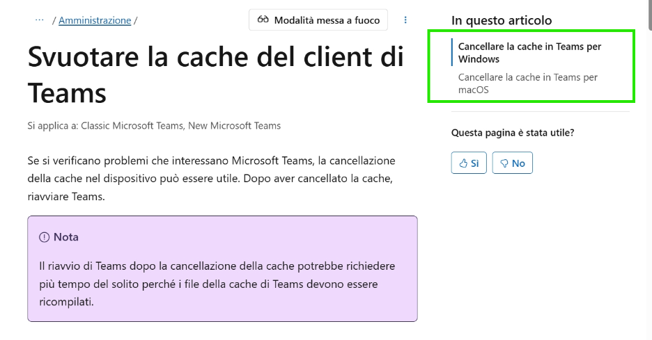 Immagine dell'utente