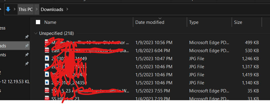 My file manager layout thing changed and now it is just all the files ...