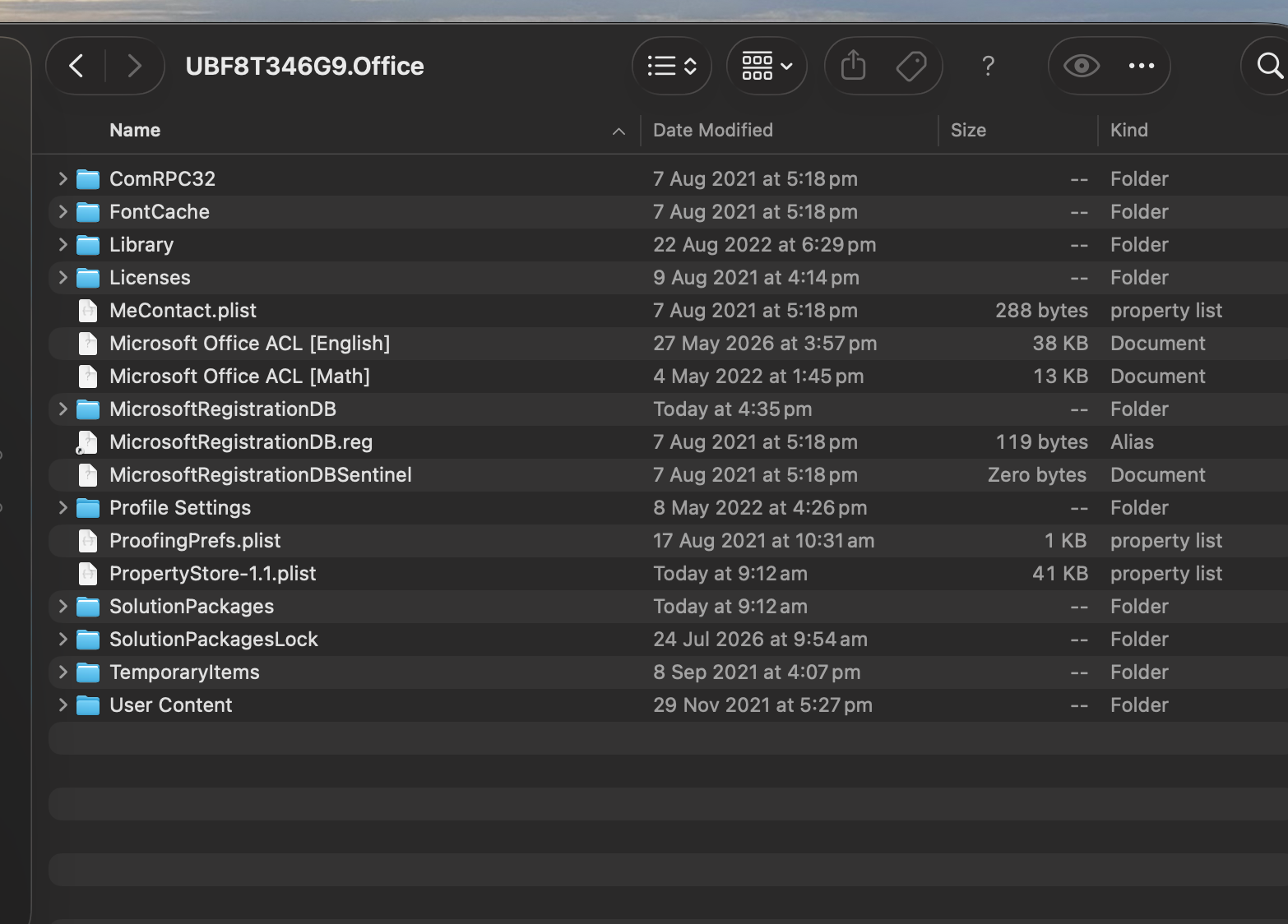 Screenshot  UBF8T346G9 Office 2026-08-11 at 5.00.15 pm