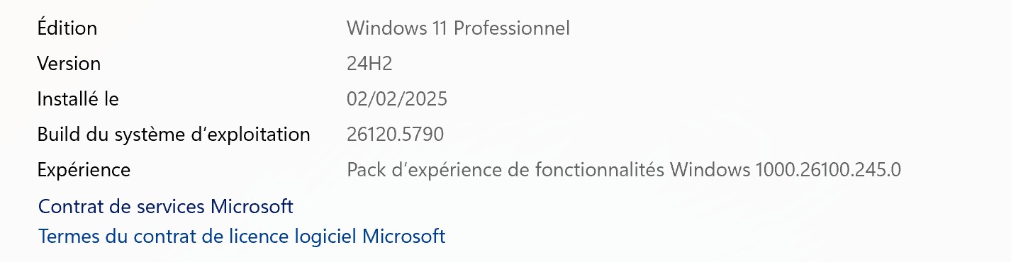 W11 24H2 CANAL BETA 26120.5790