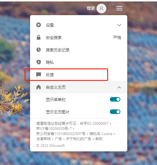 Win 11 bing词典 怎么开启 划词翻译 功能 - Microsoft Q&A