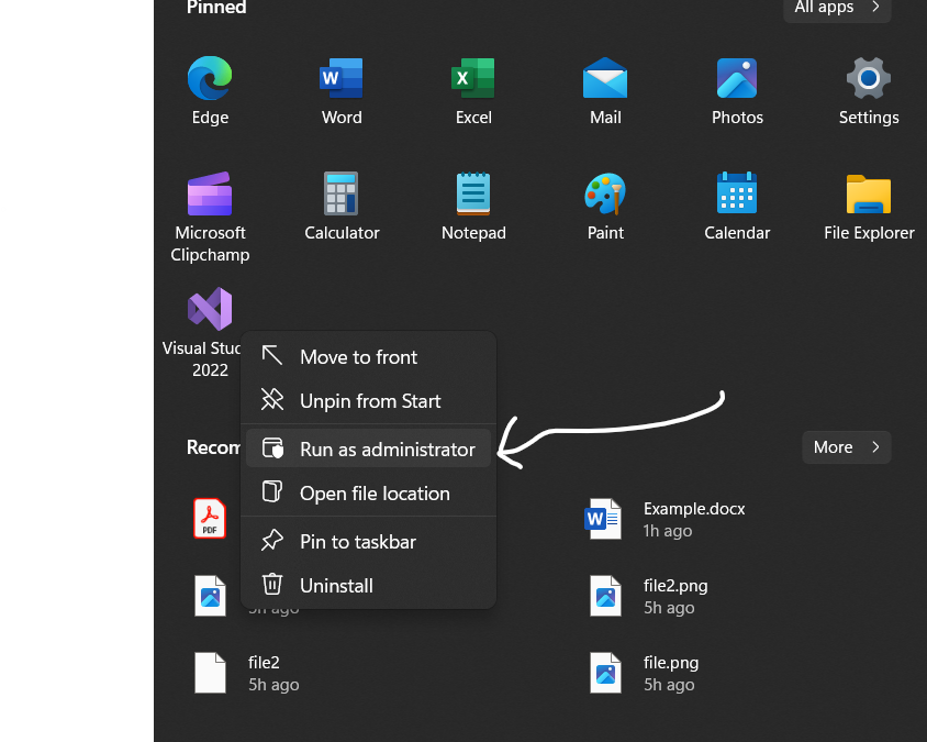 vs1