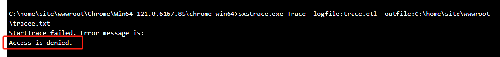 can't run a exe program in web app's console - Microsoft Q&A