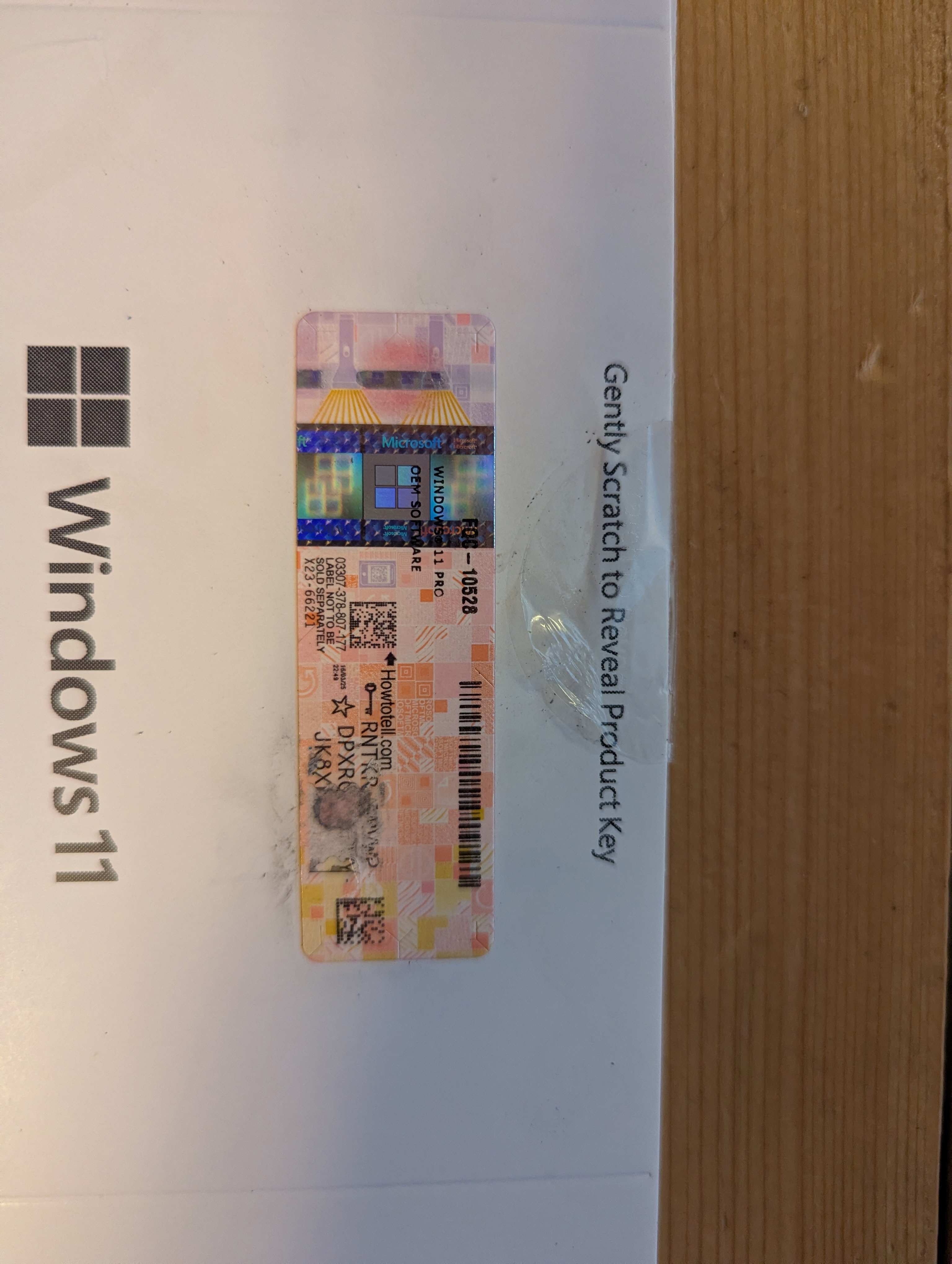 PXL_20251213_131925638