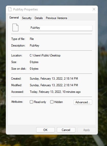 PubKey file appearing on the desktop. - Microsoft Q&A