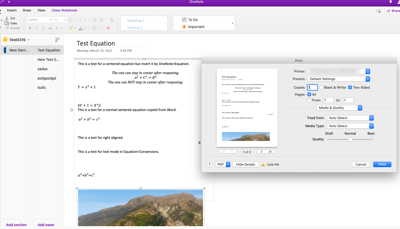 Formatting onenote to print - Microsoft Q&A
