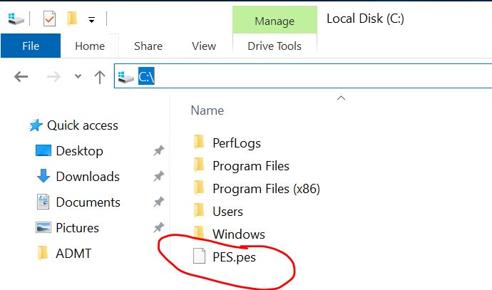 86115-pes.jpg