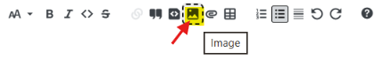 User's image