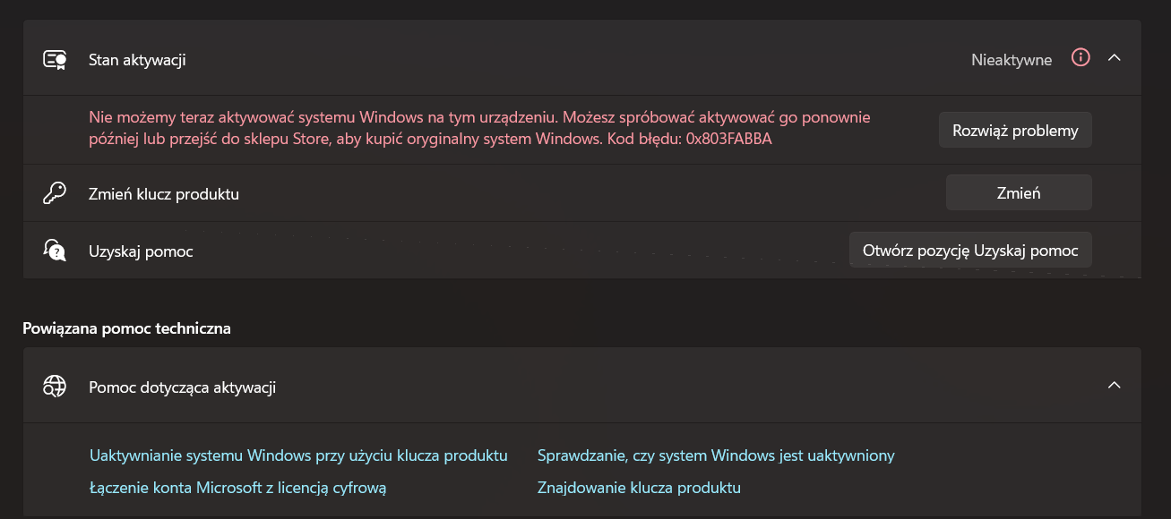 Obraz użytkownika