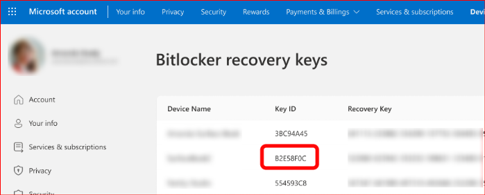 bitlocker (1)