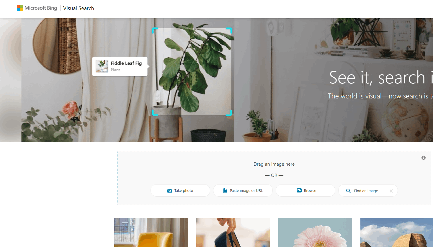 Bing'Visual Search'Can't search - Microsoft Q&A