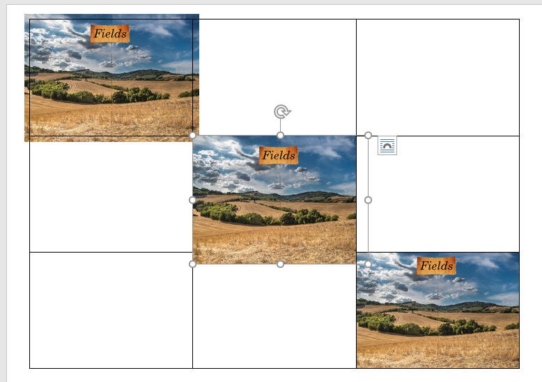 Word 365 - Picture placement in tables, edges not cropped - Microsoft Q&A