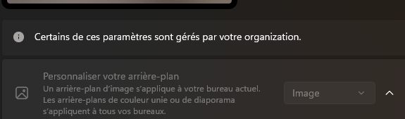 Image de l’utilisateur