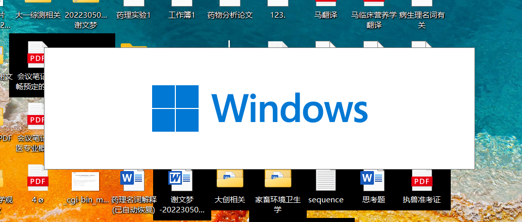{31CD911D-C6E1-4005-A84B-0228E27BBB1C}