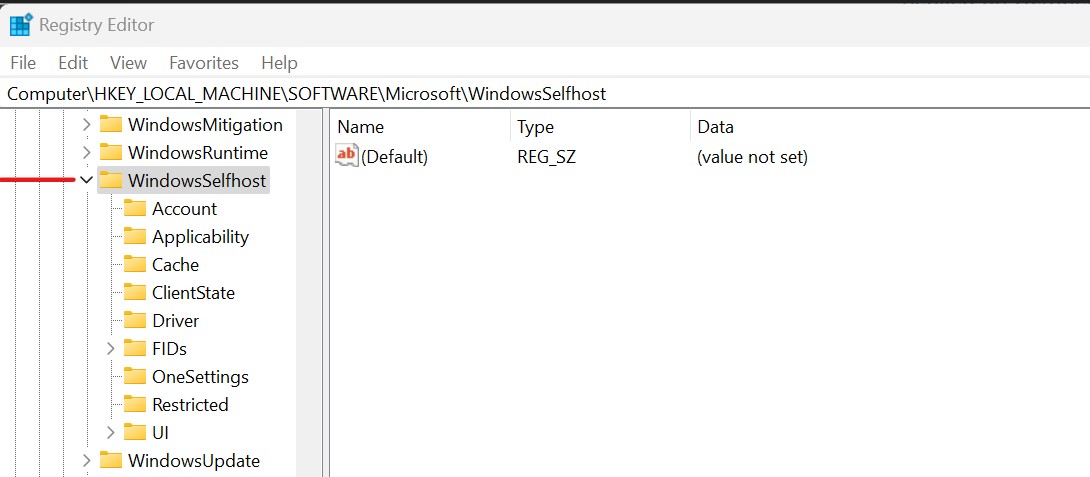 _AllowTelemetry-SelfHostKey