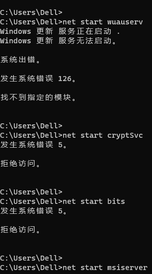 Windows系统更新遇到错误显示（0x80080005） - Microsoft Q&A