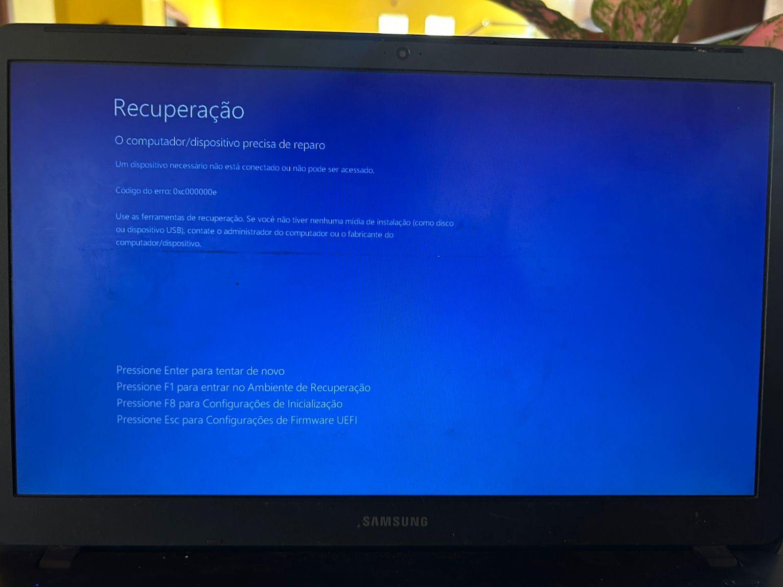 Imagem do WhatsApp de 2025-08-26 à(s) 11.31.58_d11a8b23