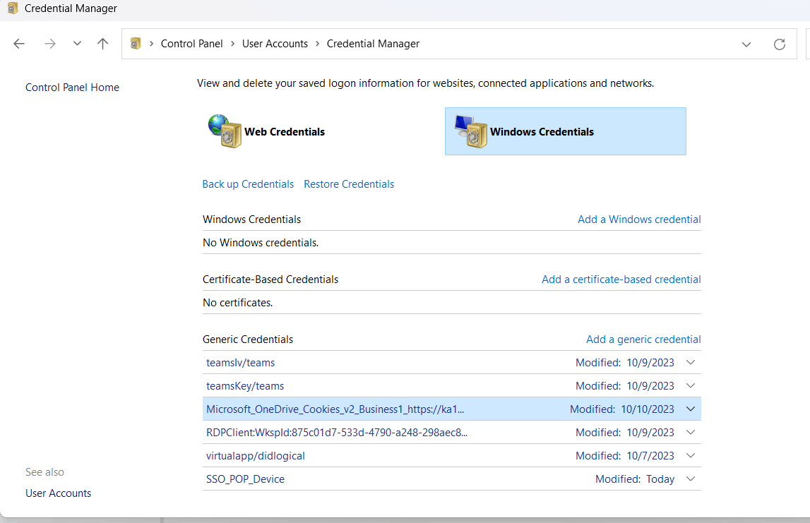 My account on my work computer is only showing personal (local) and not ...