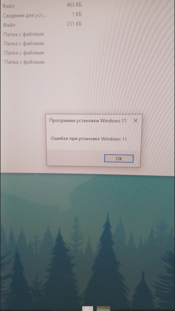 Пользовательское изображение