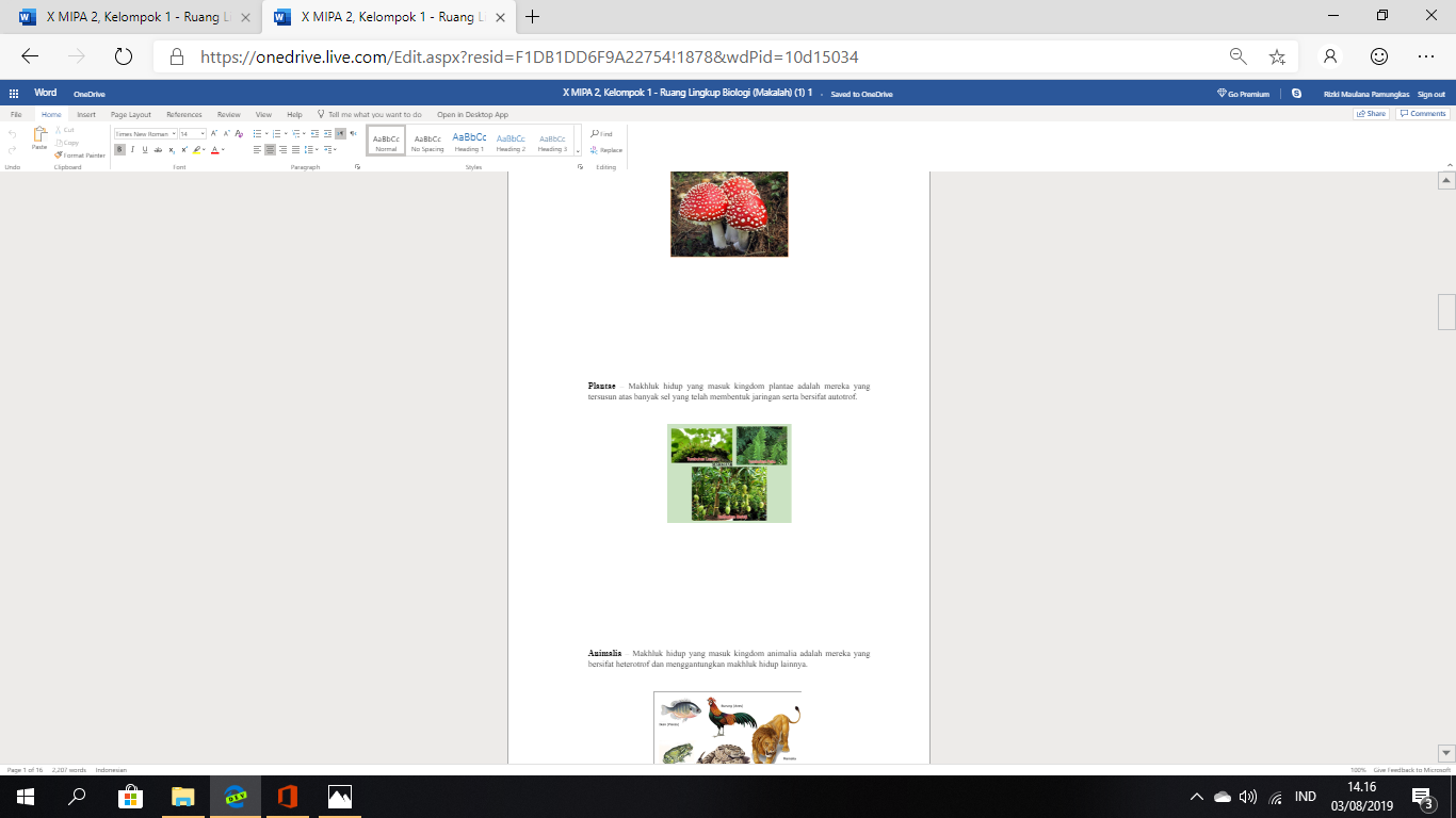 Editing View didn't match the Reading View - Microsoft Q&A
