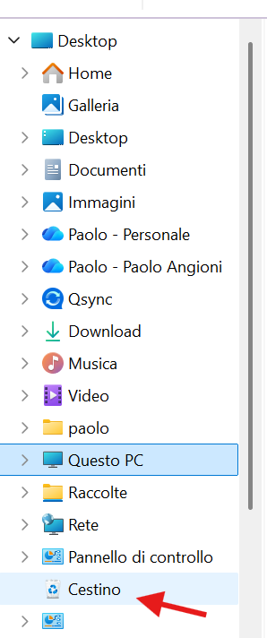 Immagine dell'utente