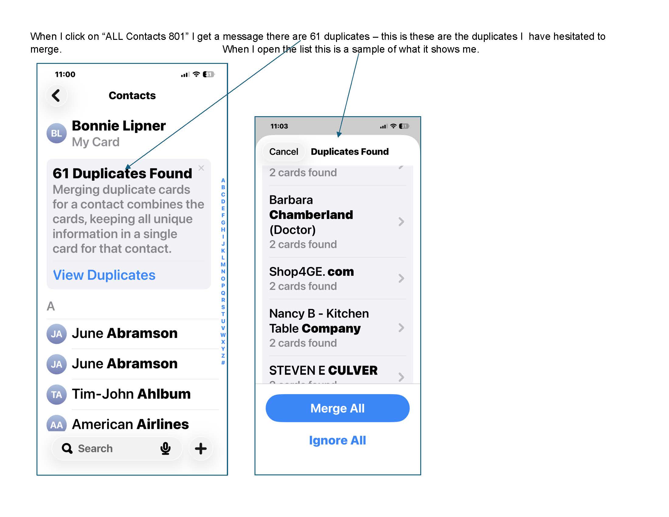 Duplicates View