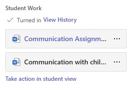 Student B screenshot