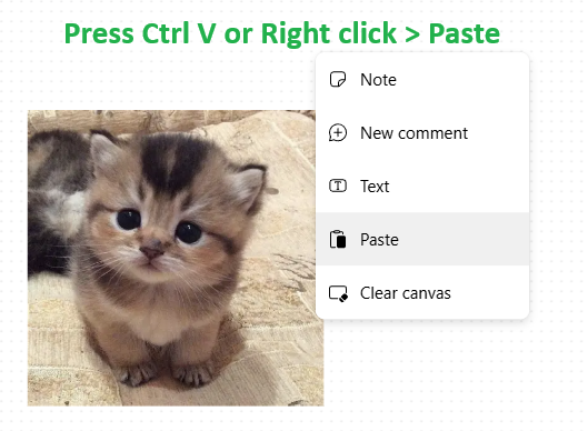 User's image