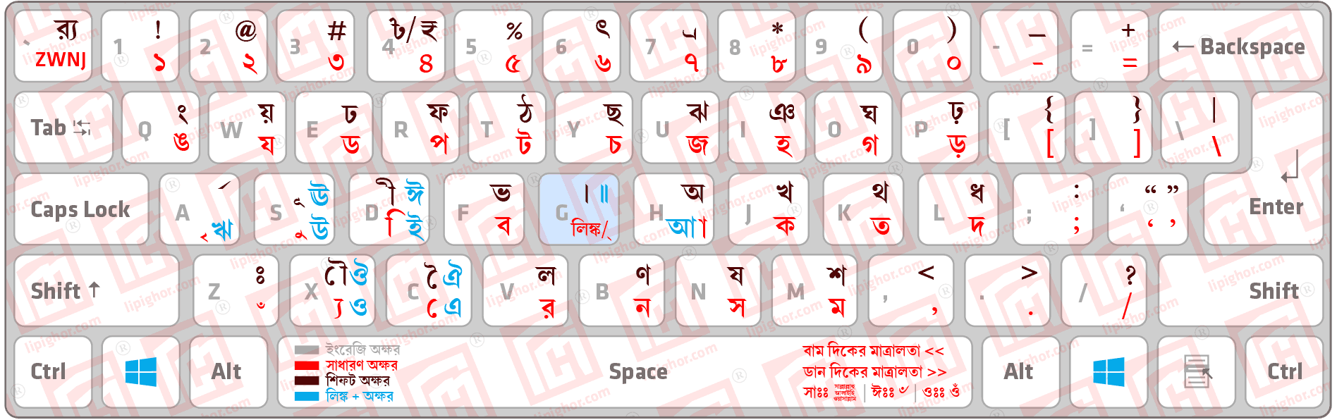 User's image