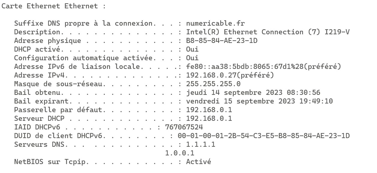 result ipconfig