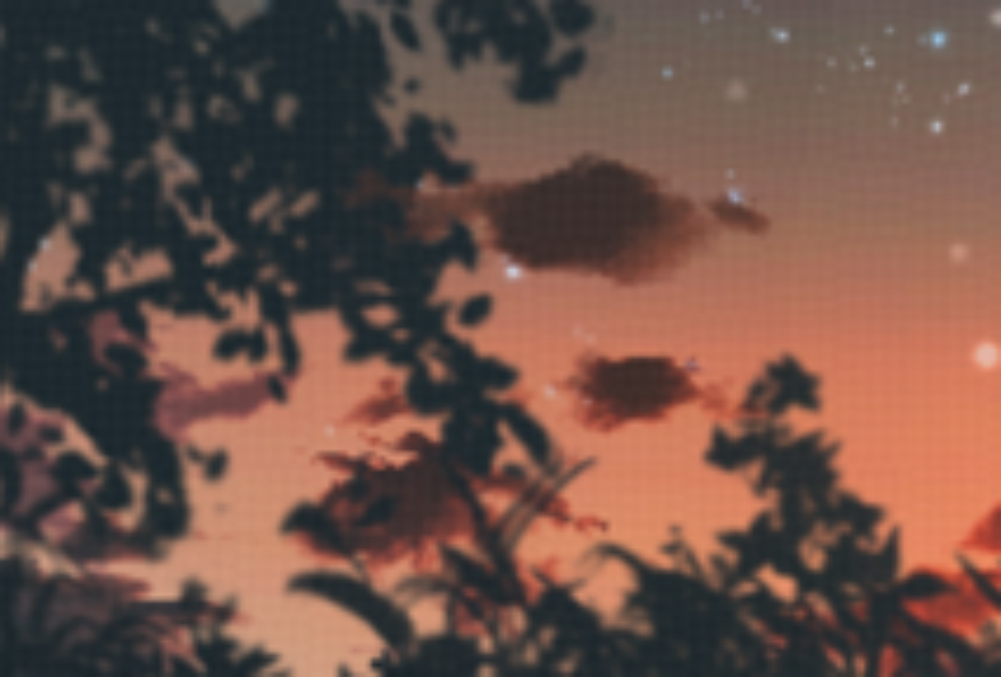 User's image